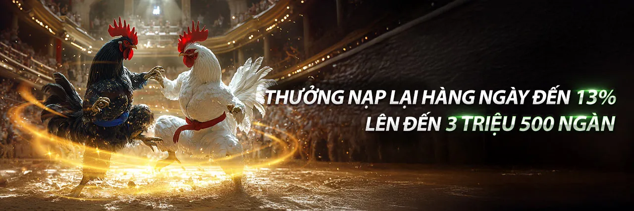 Đá Gà Trực Tuyến 36win trang chủ